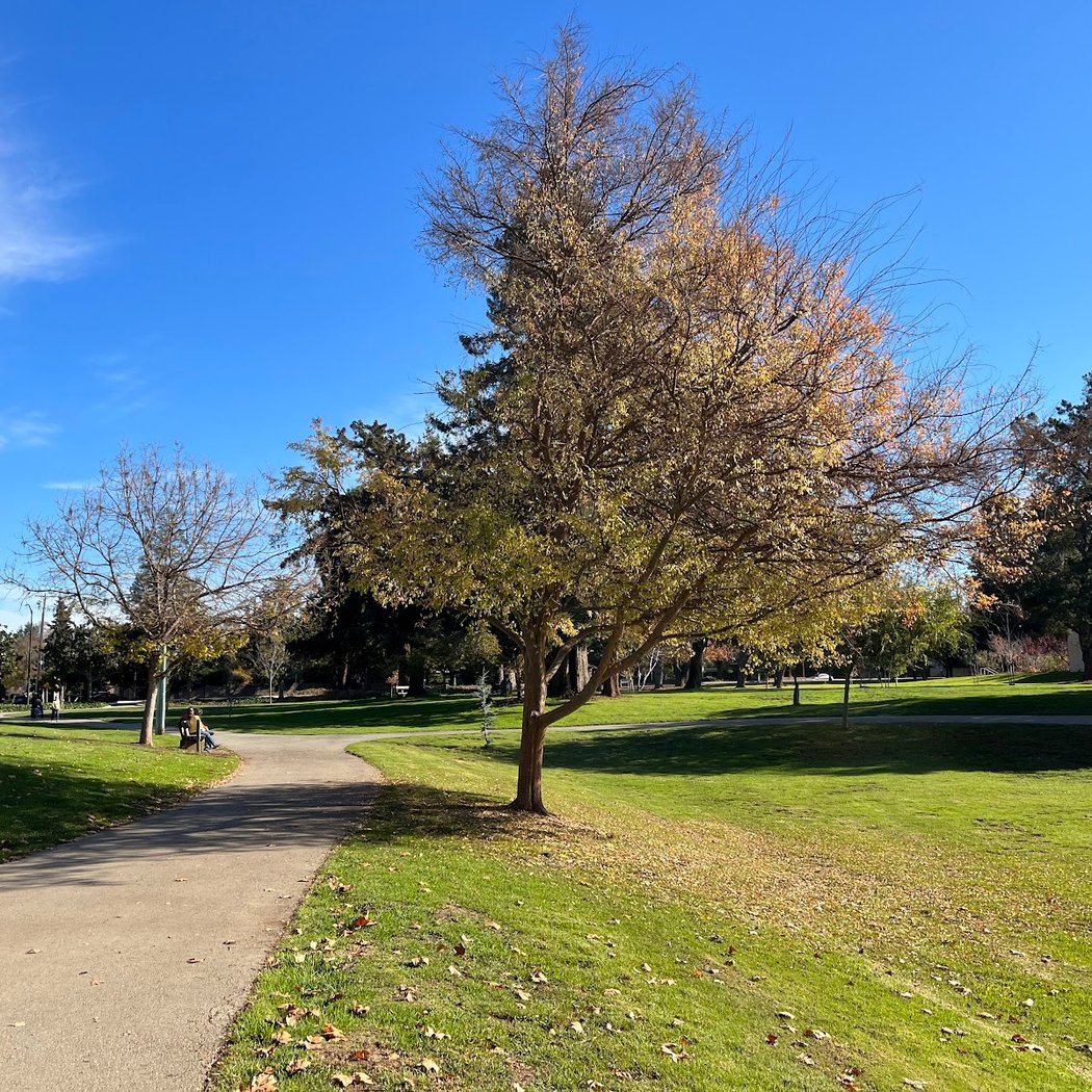 Cuesta Park 2