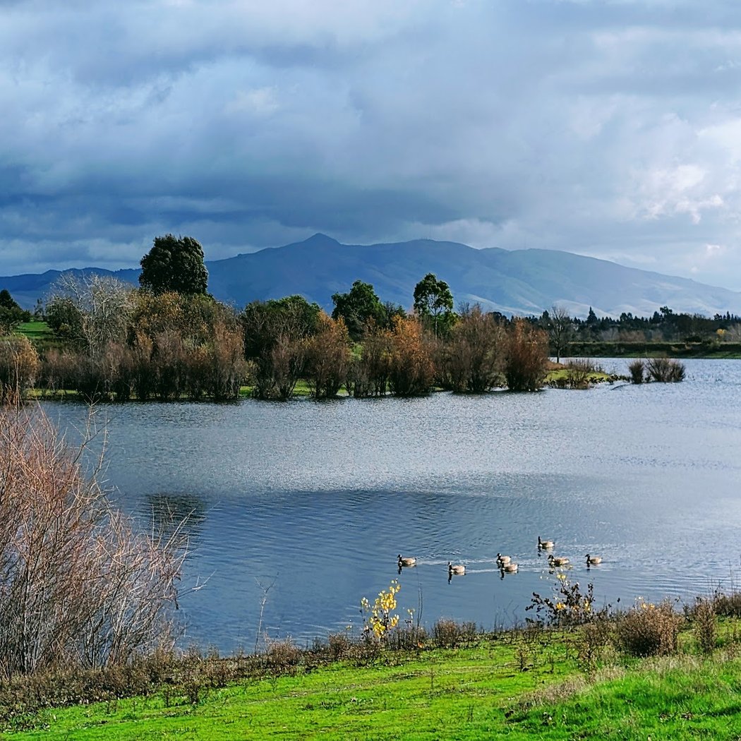 Vibha Bay Area Dream Mile 2026 3