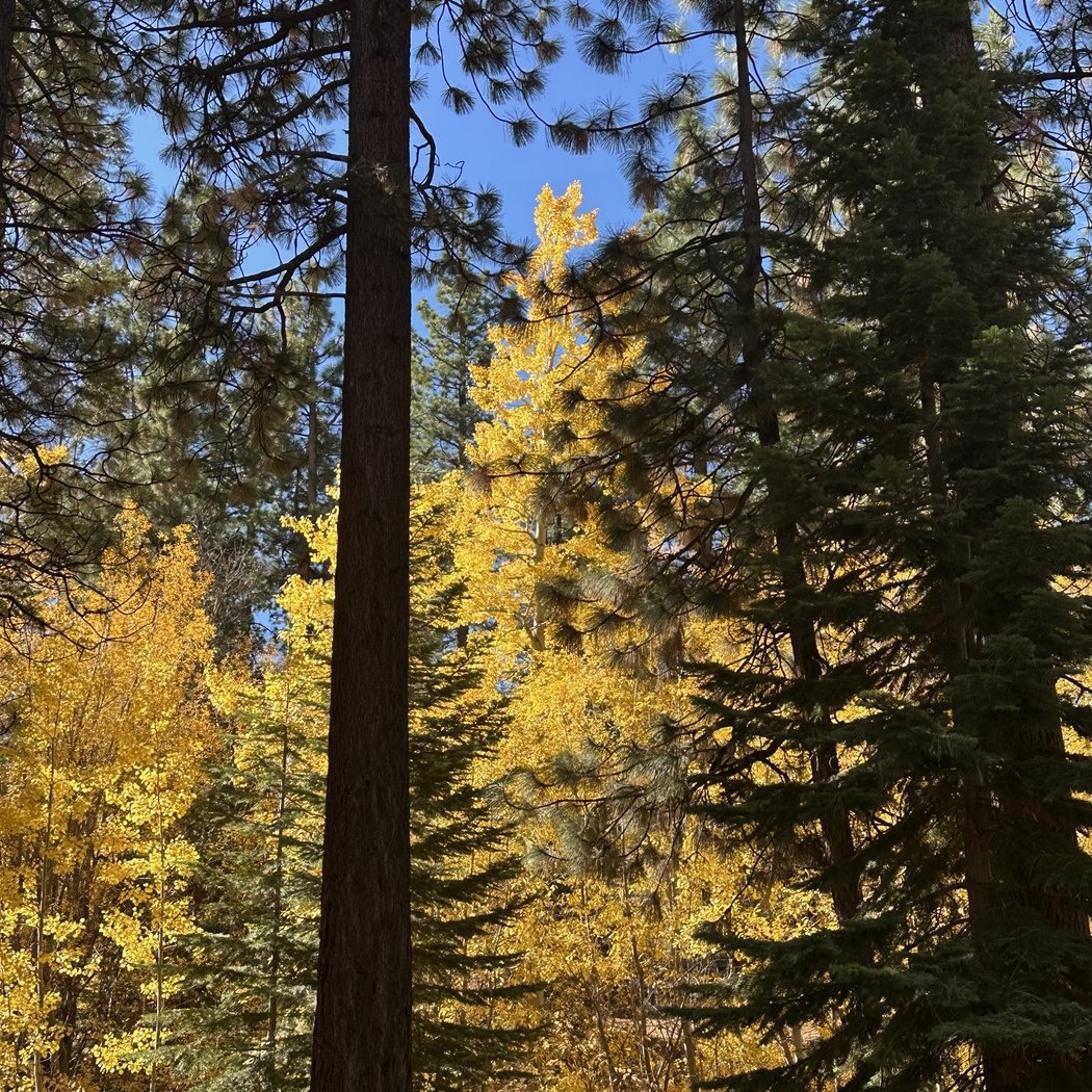 Van Sickle Trail 4