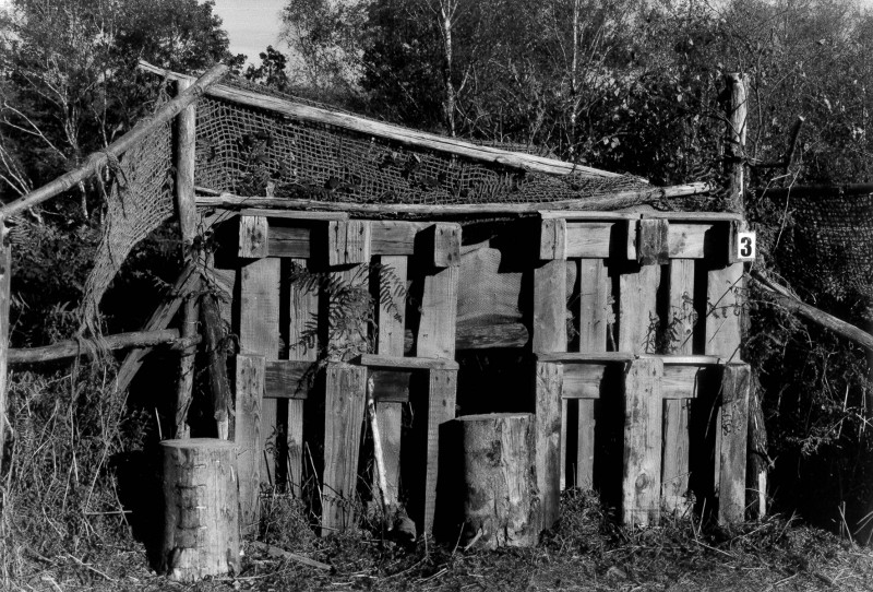 Stage vacances enfants 6-11 ans — Cabane en images avec Dorothée Davoise 1