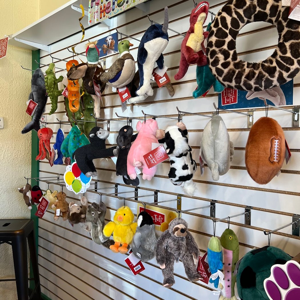 Paws on Main Street Oswego 1