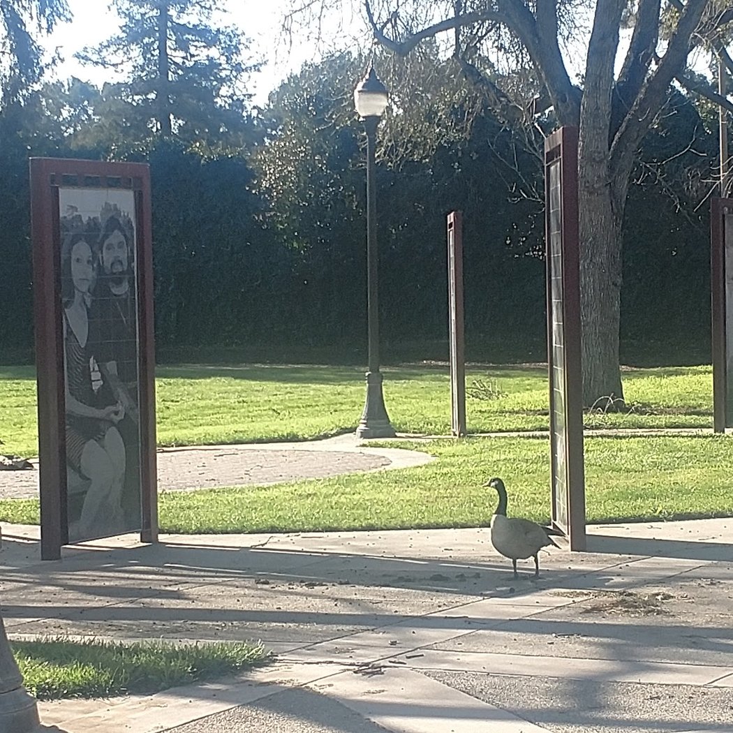 Biebrach Park 2