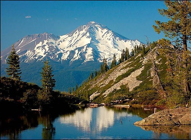 Redding 1