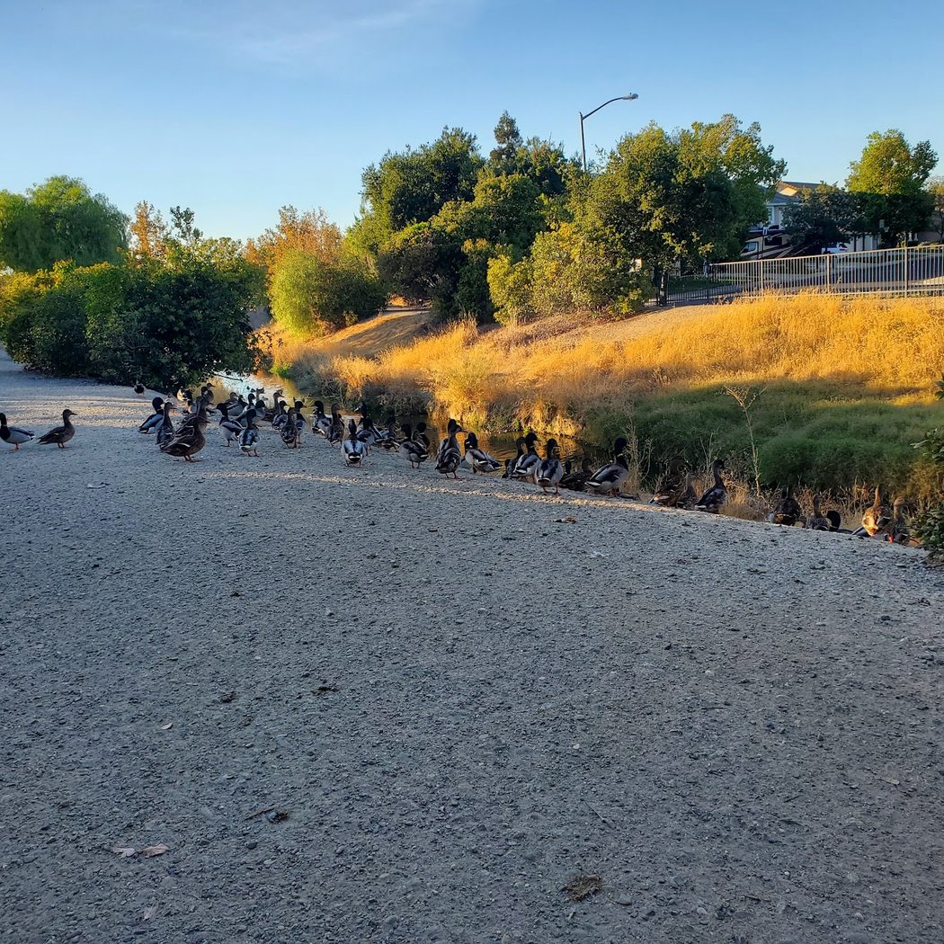 Northfront Park 1