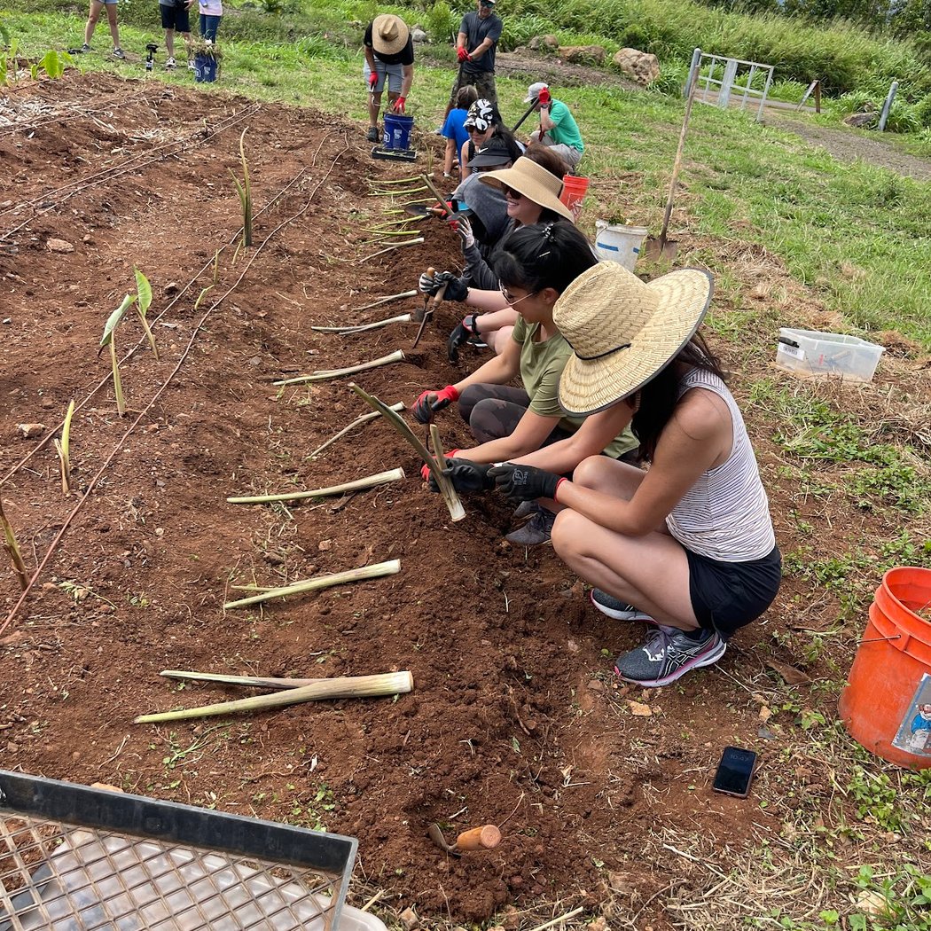 Kōkua Learning Farm Community Workday 1
