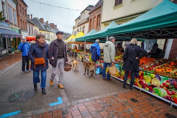 Marché de Toucy 4