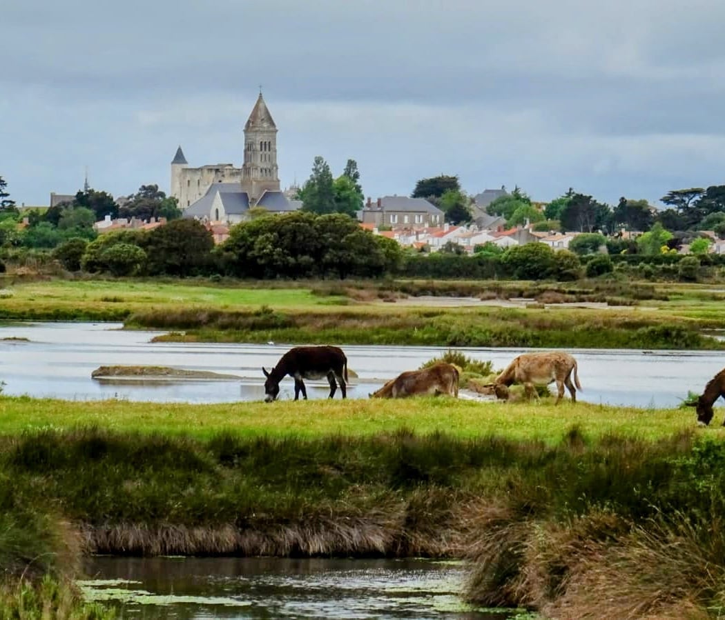 Noirmoutier-en-l'Île 1
