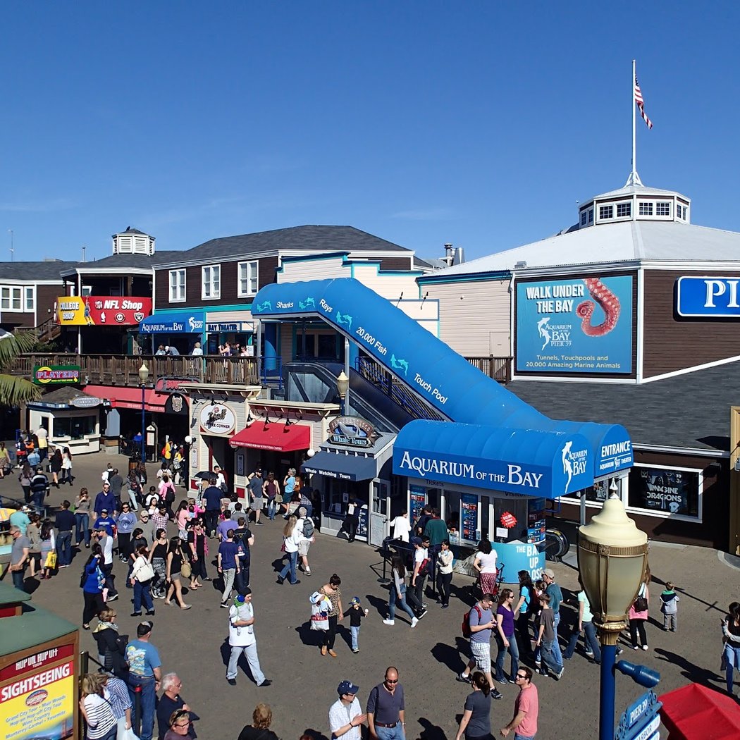 Aquarium of the Bay’s 30th Anniversary Celebration 1
