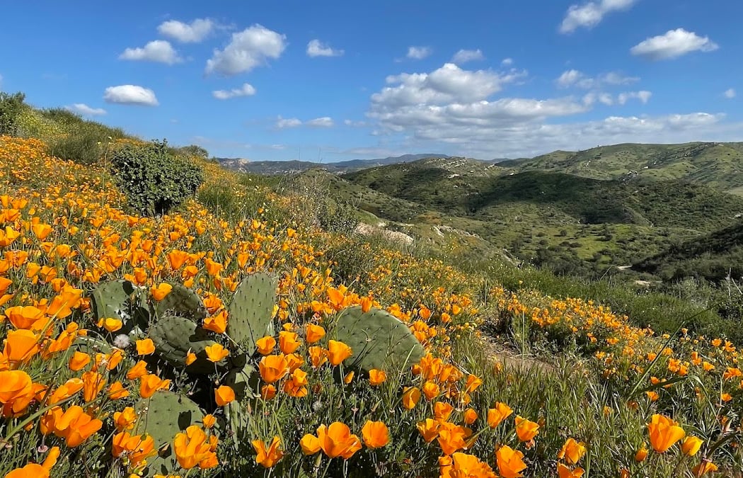 Summer Solstice Hike: Weir Canyon 1