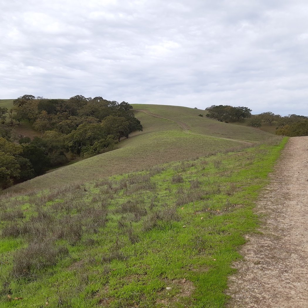 Bishop Ranch Open Space Regional Preserve 3