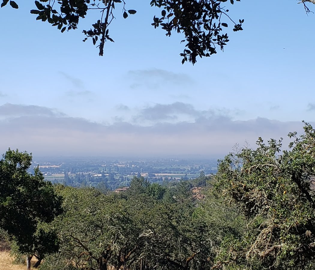 Creekside Trail 2
