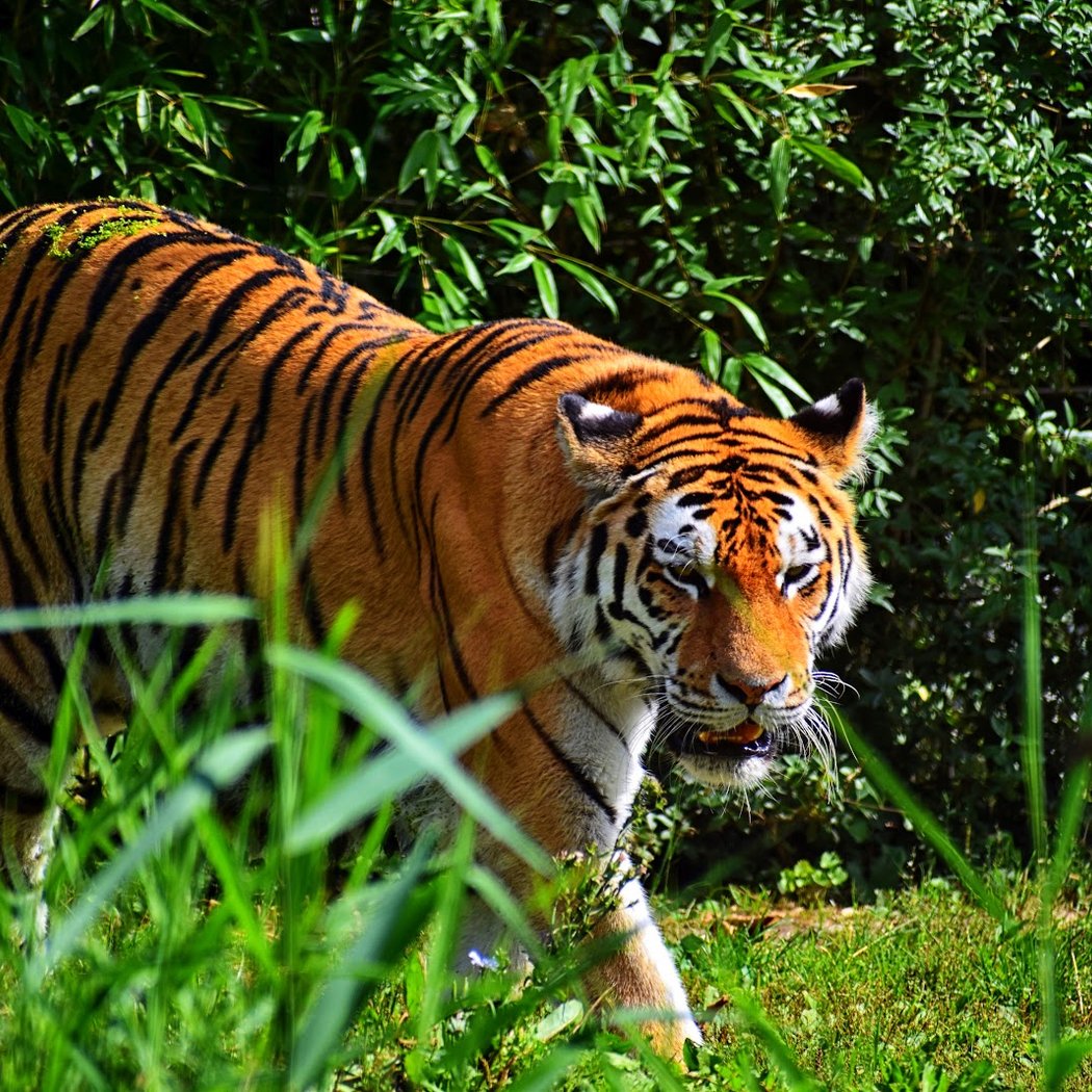 Duisburg Zoo 1