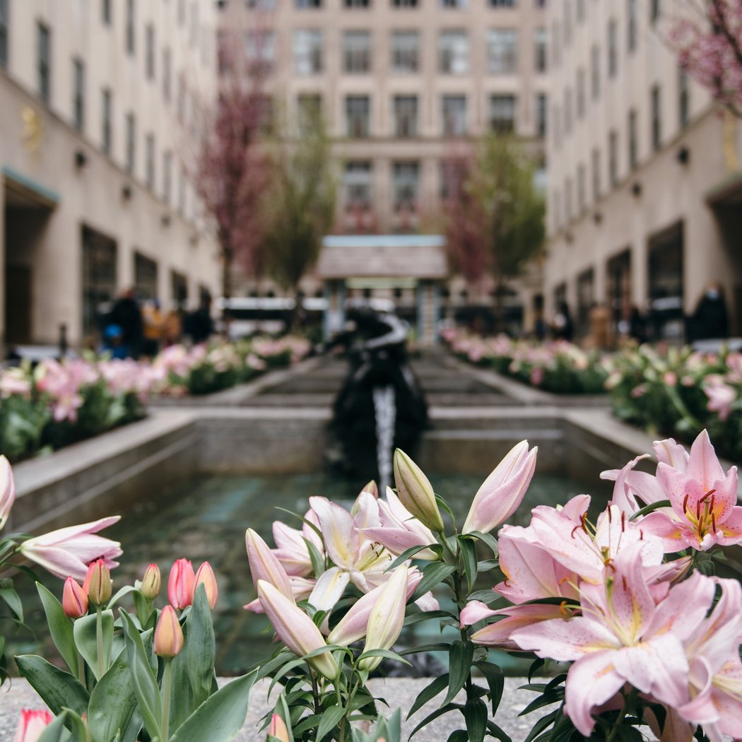Spring Break Events at Rockefeller Center 1
