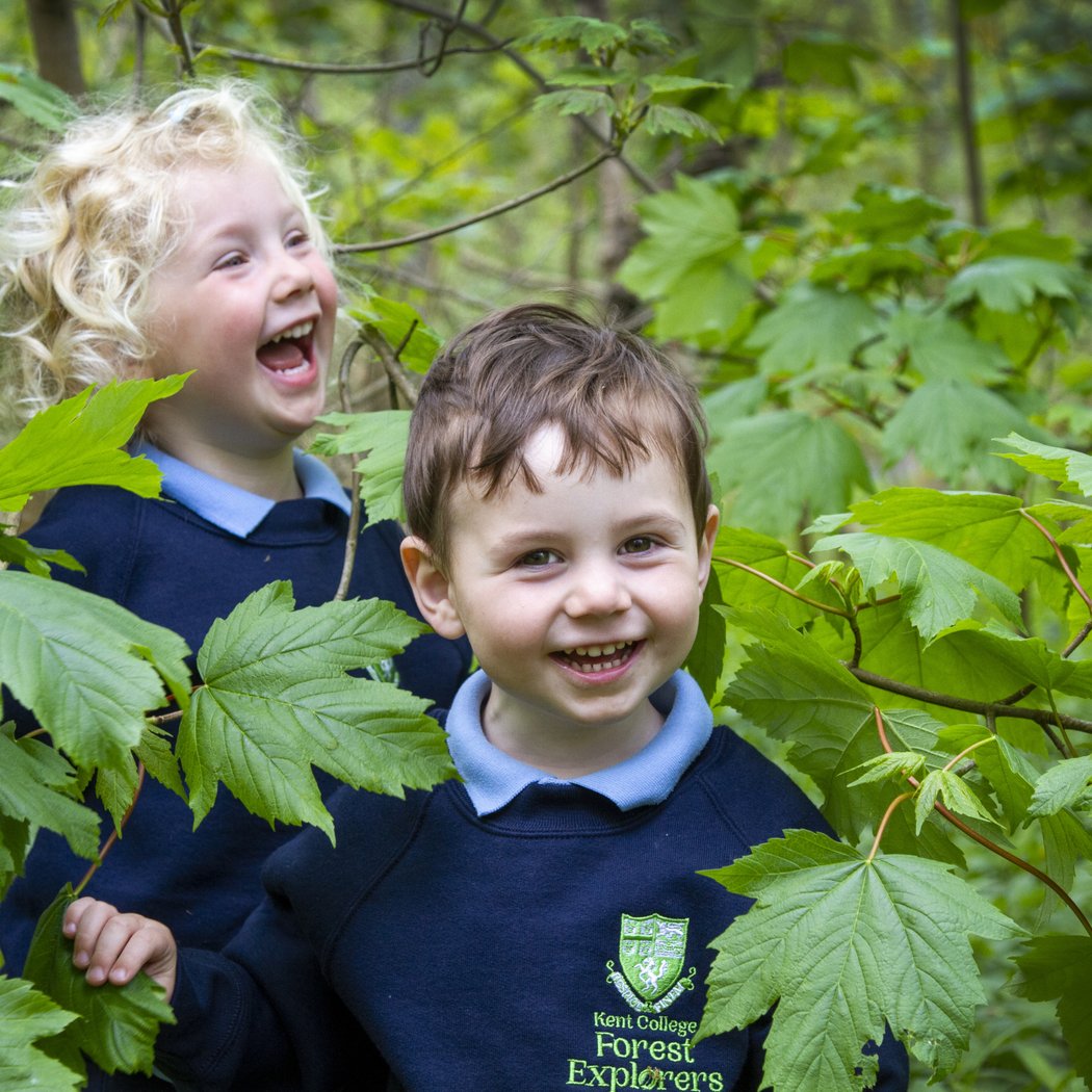 Forest Fun Day 2