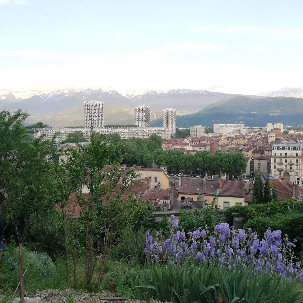 Jardin des Cairns 2