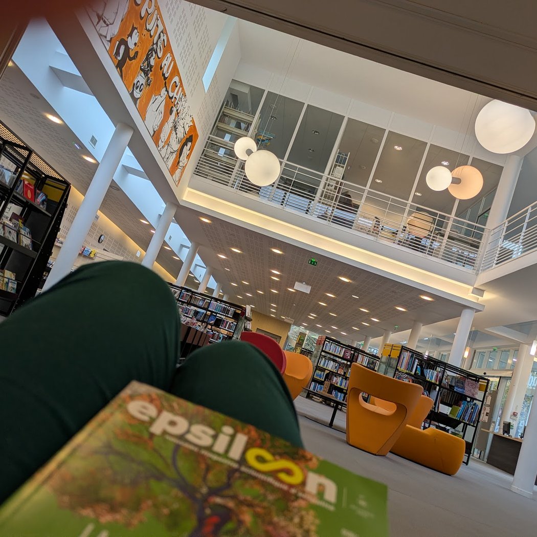 Library Le Puits Au Chat 2