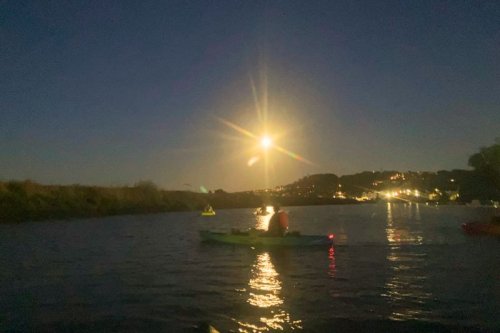 Harvest Moon Paddle 1