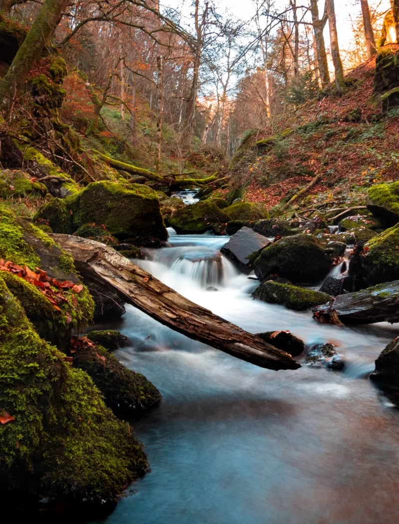 Parc naturel régional Livradois-Forez 1