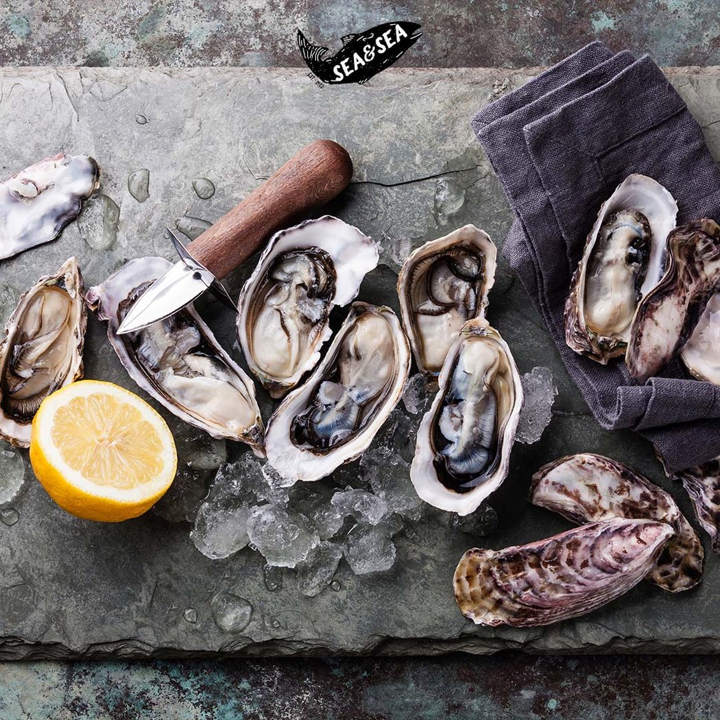 Sea & Sea Fish Market 1