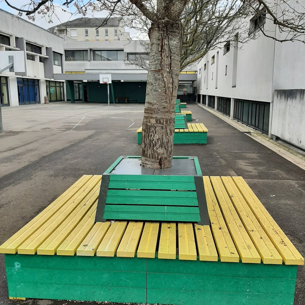 Elementary School Des Sarrazins 3