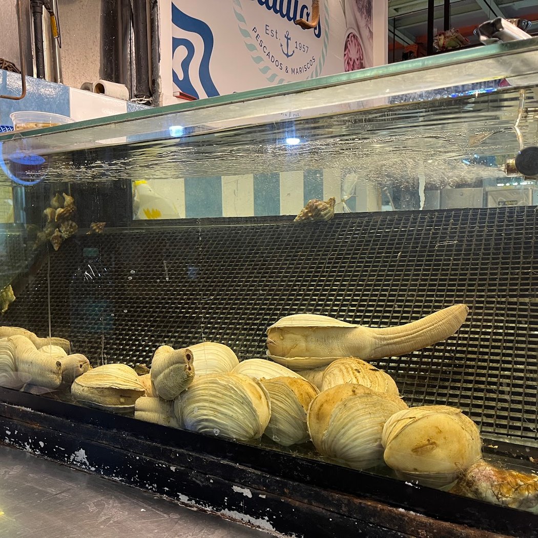 Mercado de San Juan Pugibet 3