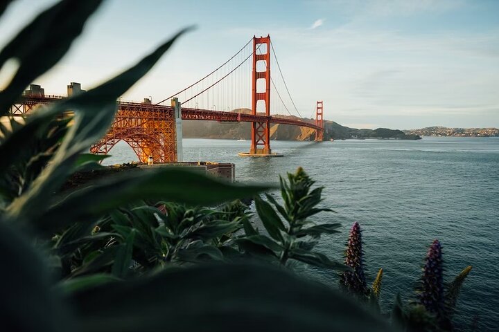 Alcatraz Island Tour Package  3