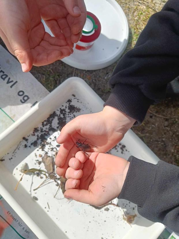 Åbent hus: Hvor mange ben har en bille? Og hvor mange sortmundede kutlinger kan man fange med en mikrofiskestang?