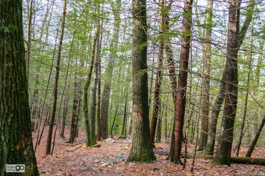 Mohonk Preserve 3