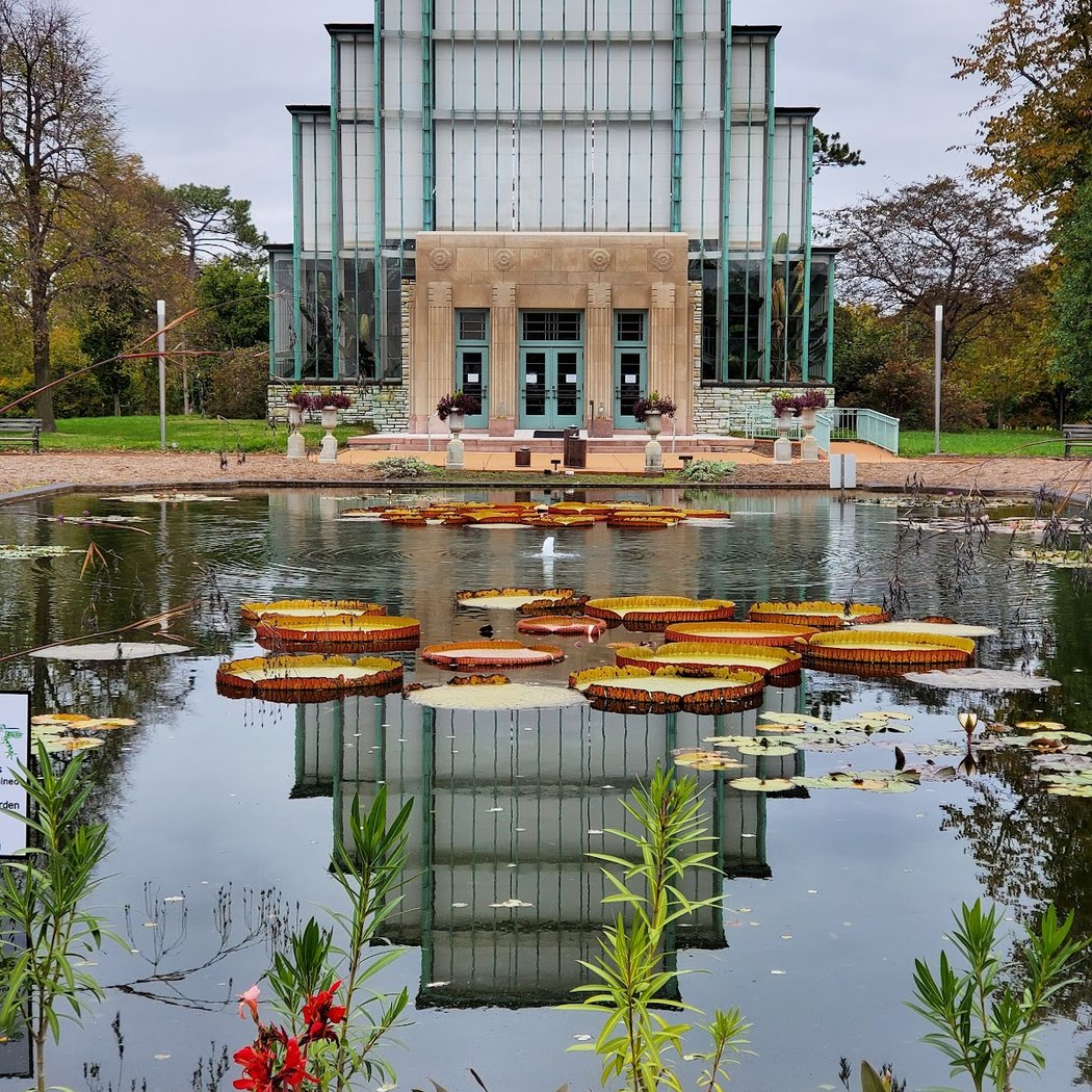 Pond-O-Rama 1