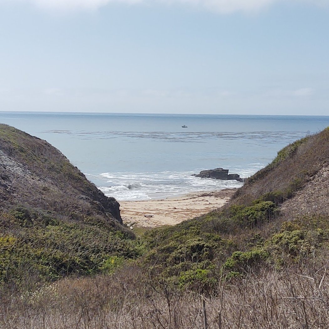 Strawberry Beach 3