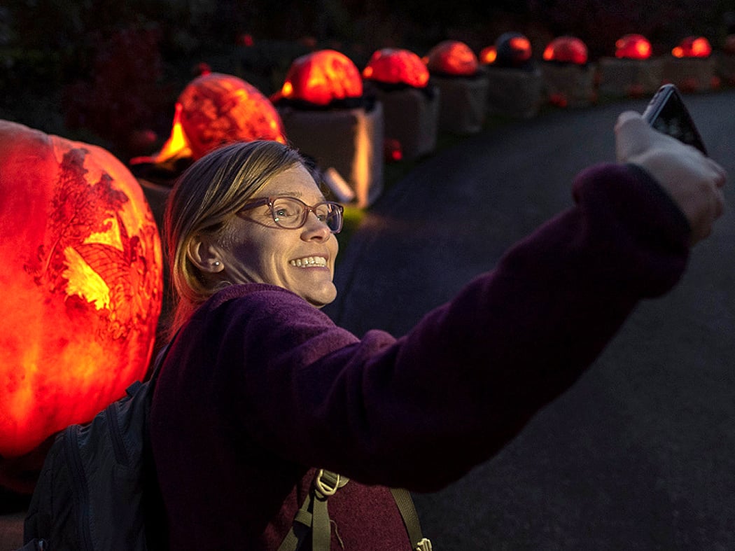 Night of 1,000 Jack-O'Lanterns