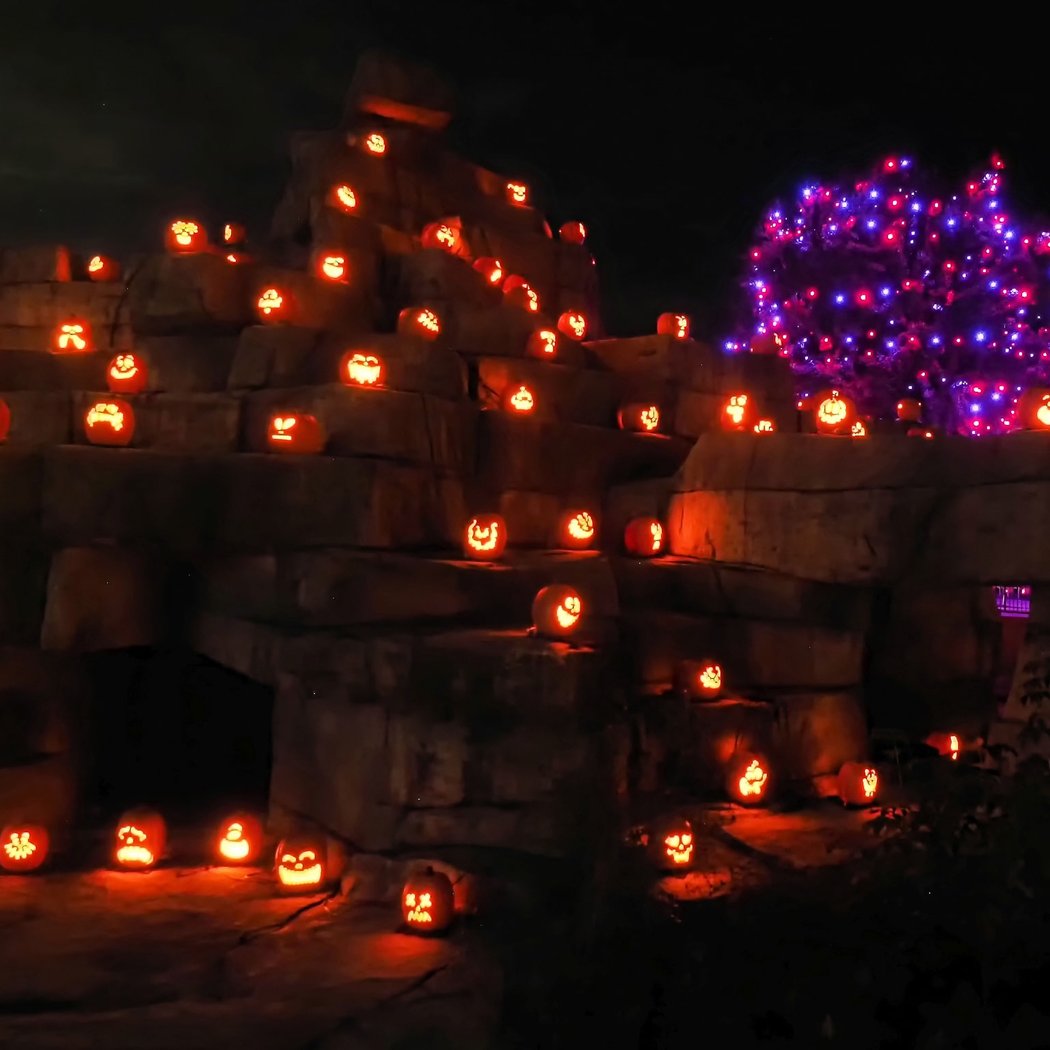 Jack-O'-Lantern Nights 3