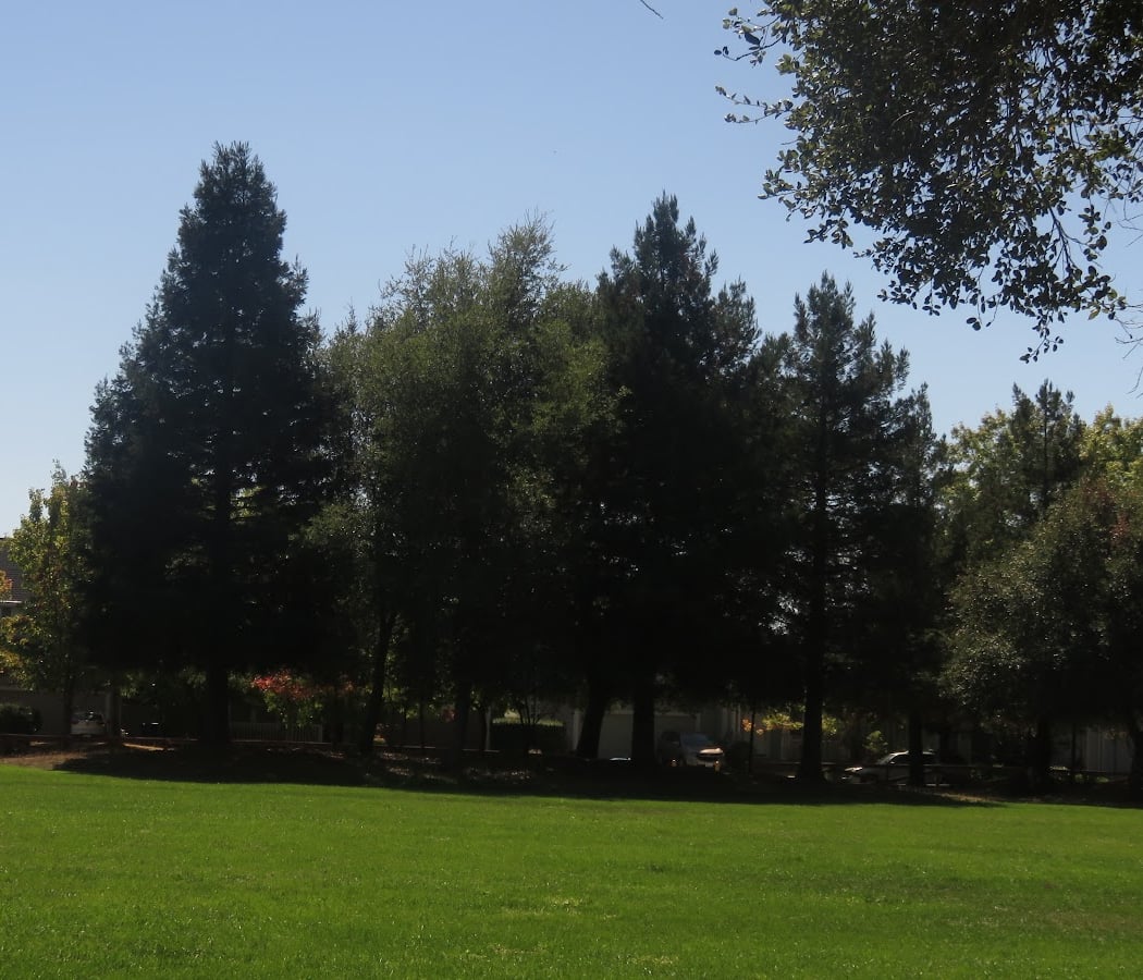Pioneer Park 1