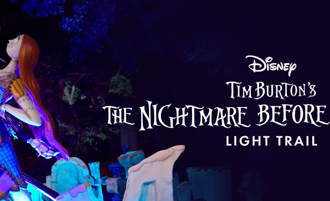Nightmare Before Christmas Celebration 1