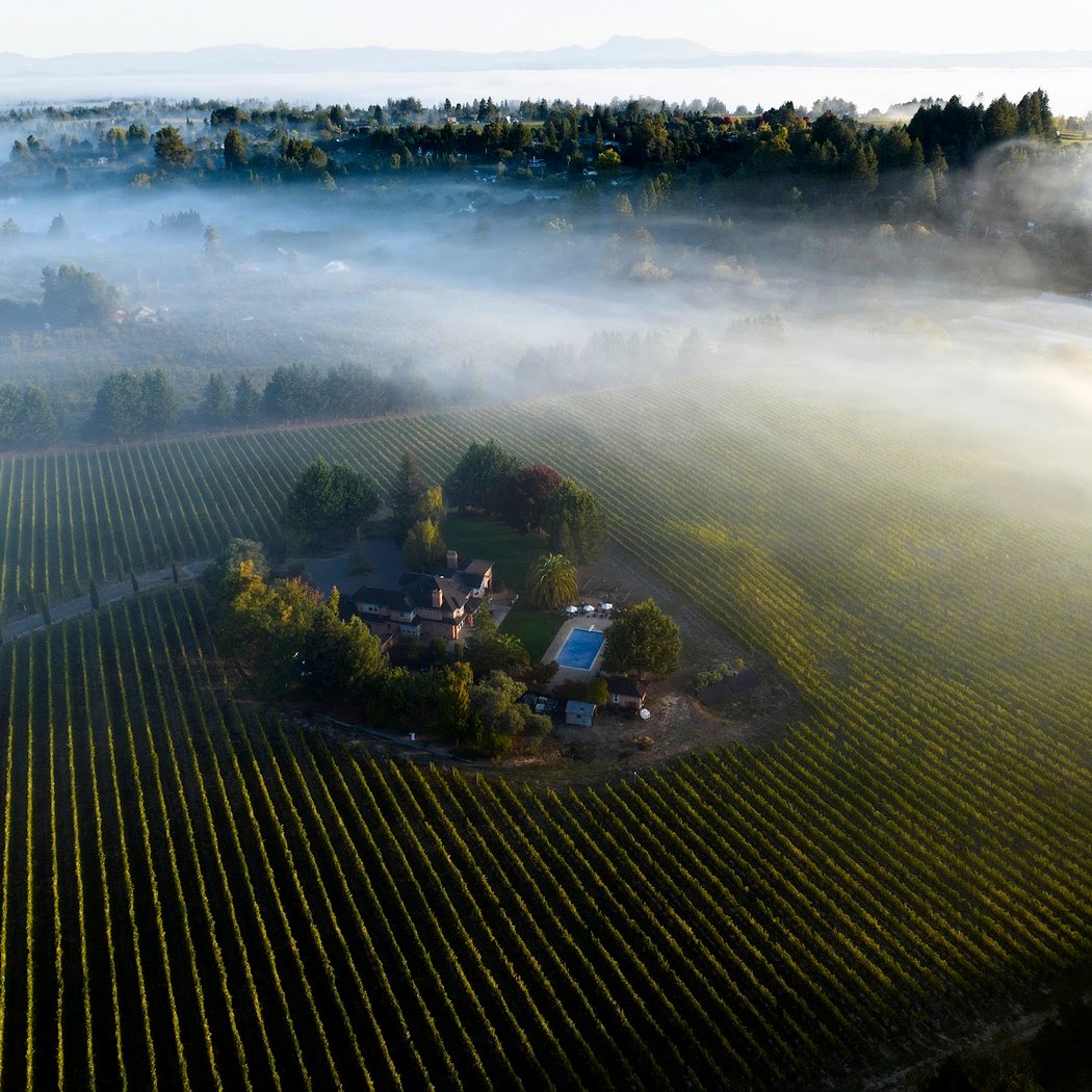 Kanzler Family Vineyards 2