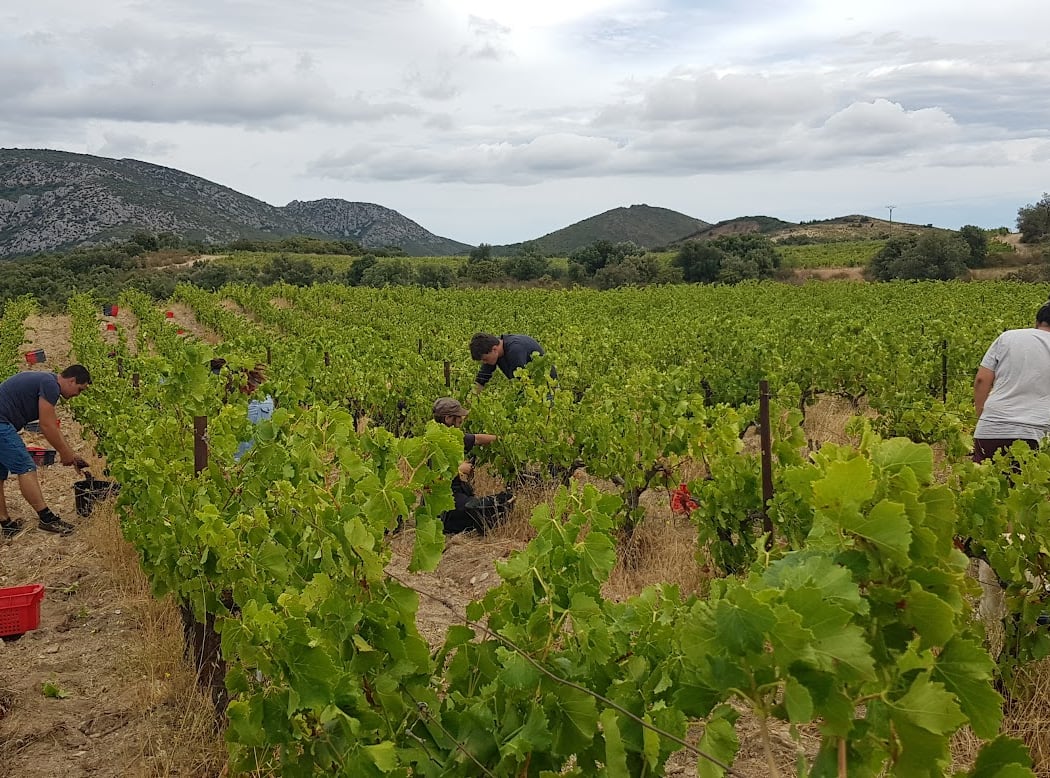 Domaine Les Terres De Mallyce 2