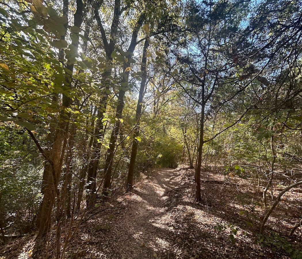 Guided Tree ID Walk 3