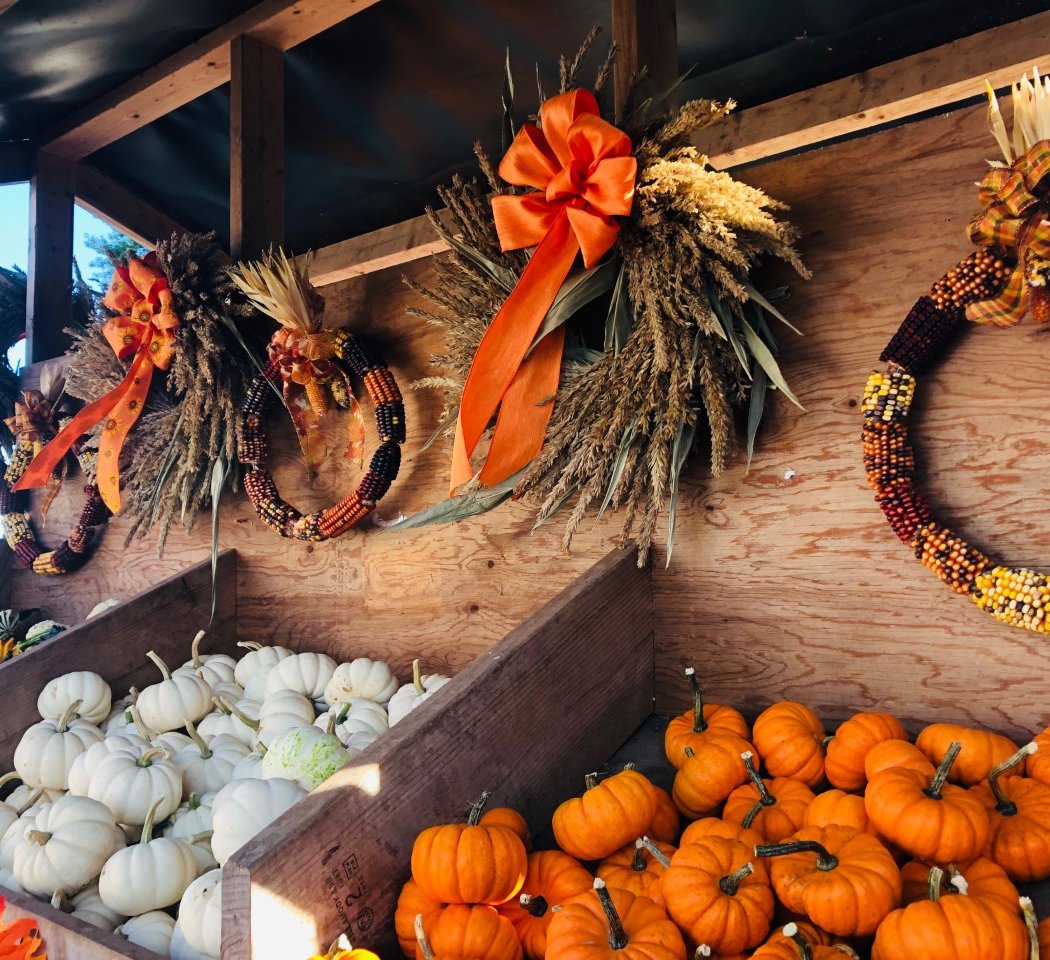 Northern Star Farm's Fall Fest 4