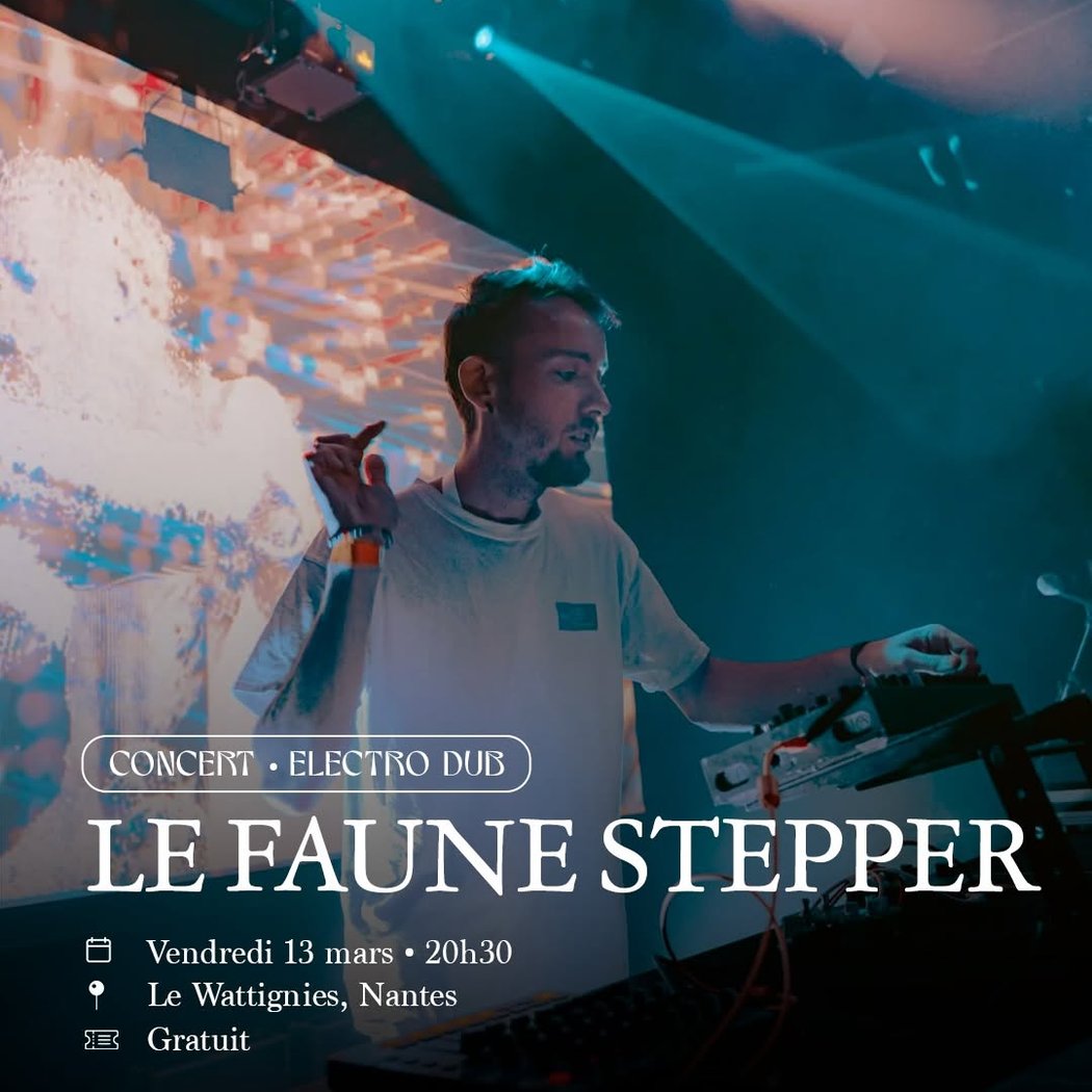 LE FAUNE STEPPER 1
