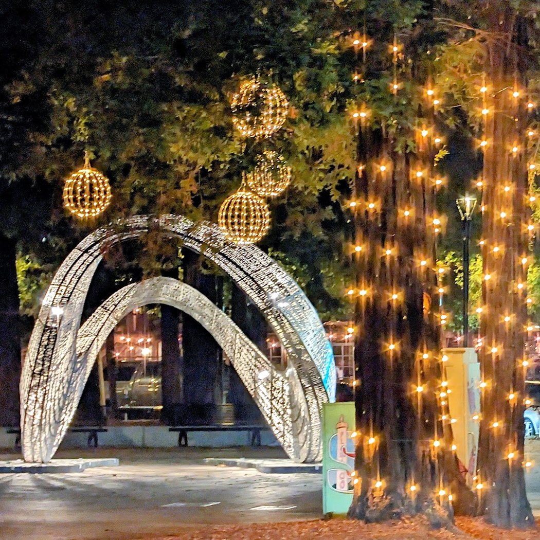 Tree Lighting Celebration 3