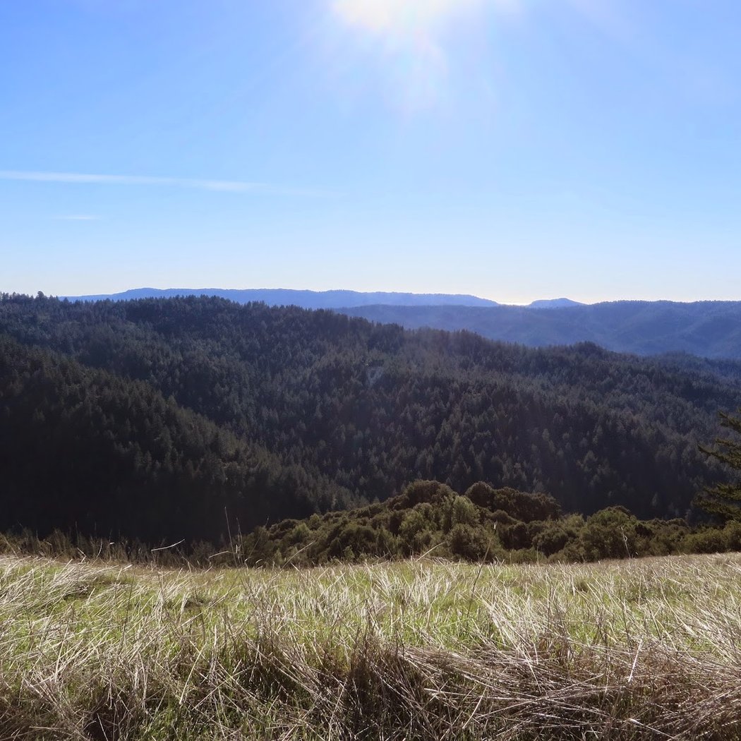 Saratoga Gap Open Space Preserve 3