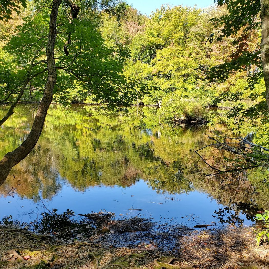 Denison Pequotsepos Nature Center 1