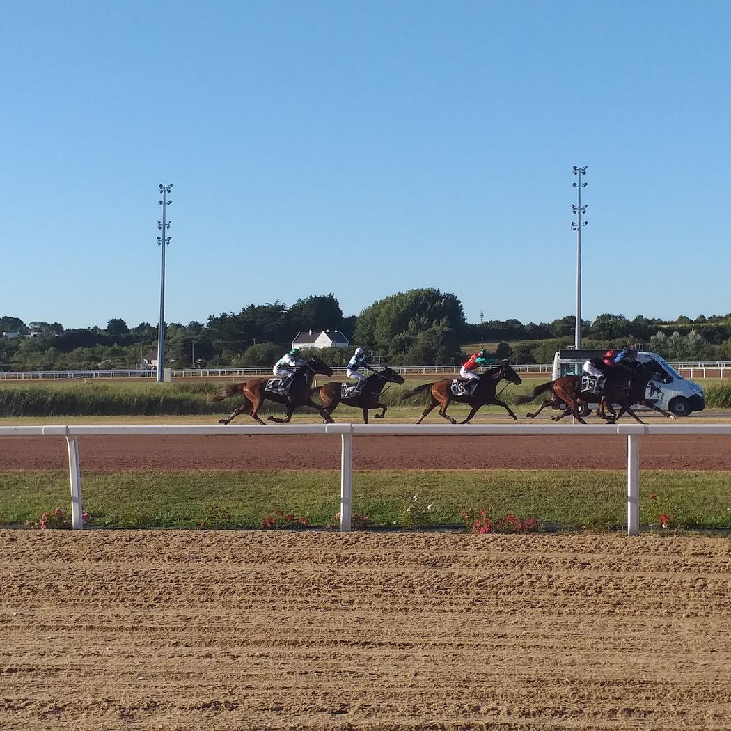 Courses de trot et galop 2