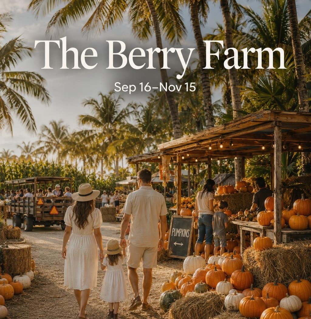 Pumpkin patches, corn maze, hayrides