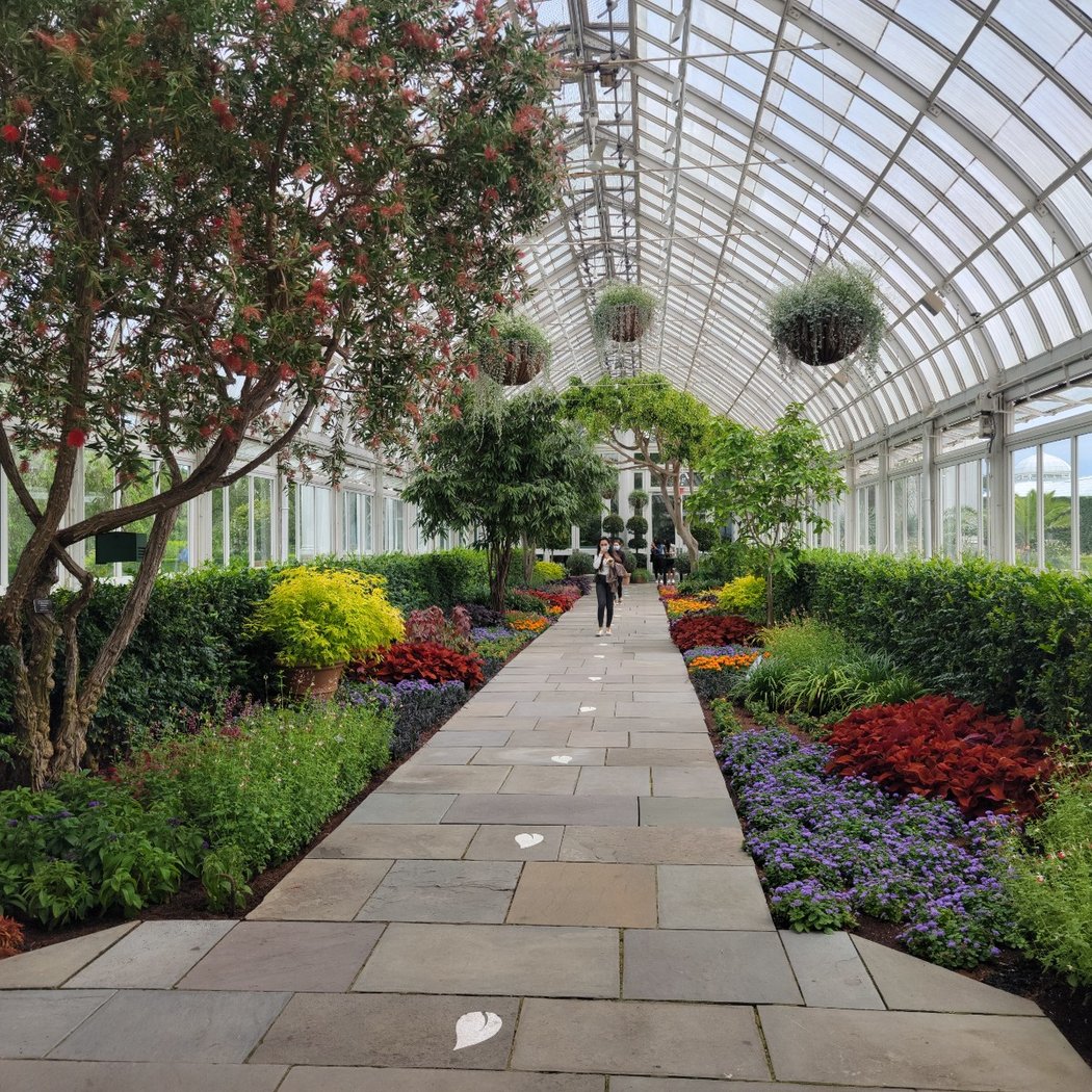 The Orchid Show: Mexican Modernism 3