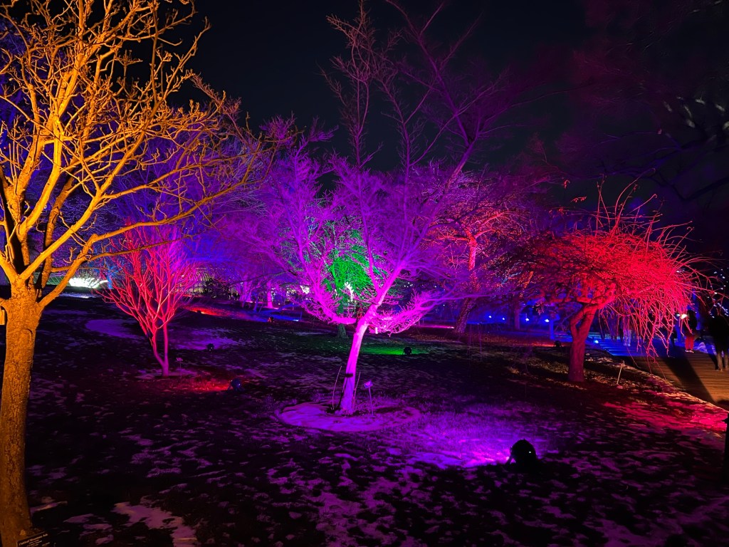 Lightscape 4