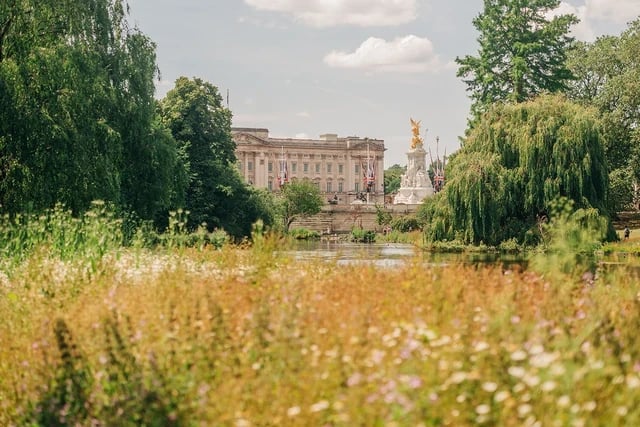 St James's Park 2