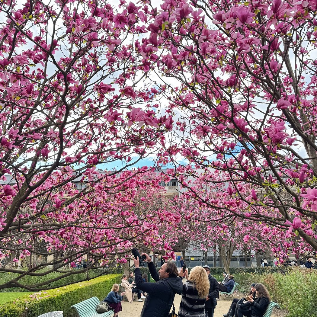Promenons-nous au Palais-Royal 1