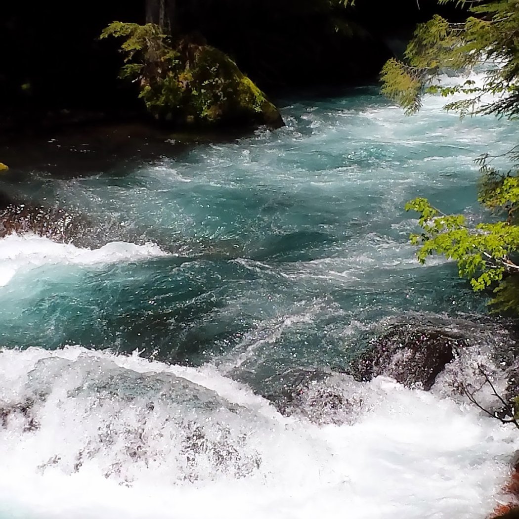 McKenzie River 3