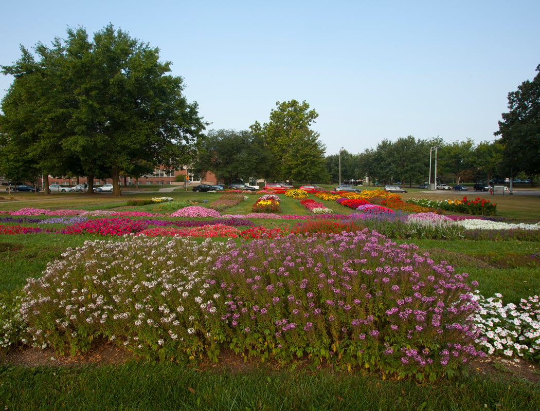 Chadwick Arboretum 3